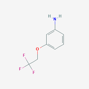 molecular formula C8H8F3NO B172331 3-(2,2,2-三氟乙氧基)苯胺 CAS No. 123207-61-4