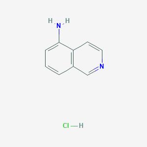 B172502 Isoquinolin-5-amine hydrochloride CAS No. 152814-23-8