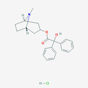 molecular formula C22H26ClNO3 B172903 exo-8-Methyl-8-azabicyclo(3.2.1)oct-3-yl diphenylglycolate hydrochloride CAS No. 1674-94-8