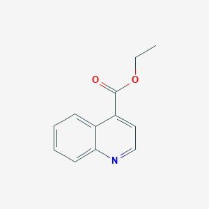 molecular formula C12H11NO2 B174774 喹啉-4-羧酸乙酯 CAS No. 10447-29-7