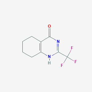 molecular formula C9H9F3N2O B176122 2-(三氟甲基)-5,6,7,8-四氢喹唑啉-4-醇 CAS No. 147750-20-7