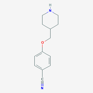 molecular formula C13H16N2O B177637 4-(Piperidin-4-ylmethoxy)-benzonitrile CAS No. 176967-62-7