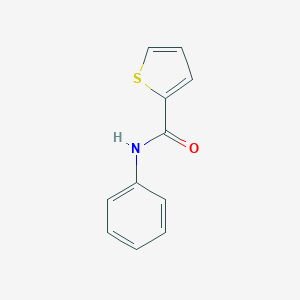 molecular formula C11H9NOS B177813 N-phenylthiophene-2-carboxamide CAS No. 6846-13-5