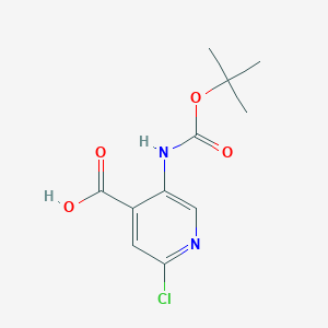 molecular formula C11H13ClN2O4 B178977 5-((tert-Butoxycarbonyl)amino)-2-chloroisonicotinic acid CAS No. 171178-46-4