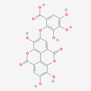 molecular formula C21H10O13 B179511 Valoneic acid dilactone CAS No. 60202-70-2