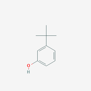 molecular formula C10H14O B181075 3-tert-Butylphenol CAS No. 585-34-2