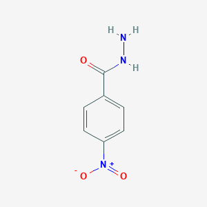 molecular formula C7H7N3O3 B182513 4-硝基苯甲酰肼 CAS No. 636-97-5