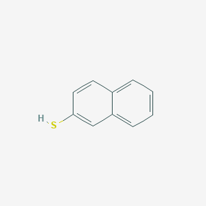 molecular formula C10H8S B184263 2-萘硫醇 CAS No. 91-60-1