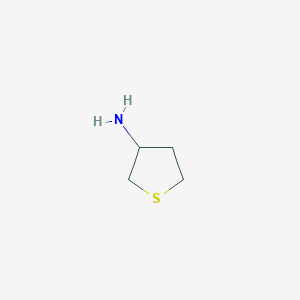 molecular formula C4H9NS B018485 Thiolan-3-amine CAS No. 101993-01-5