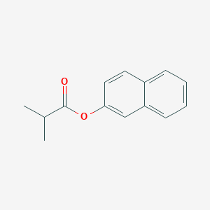 molecular formula C14H14O2 B185163 Naphthalen-2-yl 2-methylpropanoate CAS No. 33617-65-1