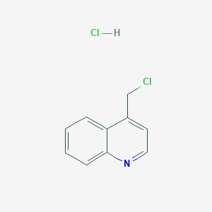molecular formula C10H9Cl2N B185189 4-(Chloromethyl)quinoline hydrochloride CAS No. 1822-57-7