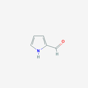 molecular formula C5H5NO B018789 吡咯-2-甲醛 CAS No. 1003-29-8