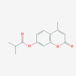 molecular formula C14H14O4 B188225 4-methyl-2-oxo-2H-chromen-7-yl 2-methylpropanoate CAS No. 66185-67-9