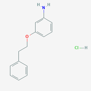 molecular formula C14H16ClNO B188692 3-(苯乙氧基)苯胺盐酸盐 CAS No. 17399-24-5