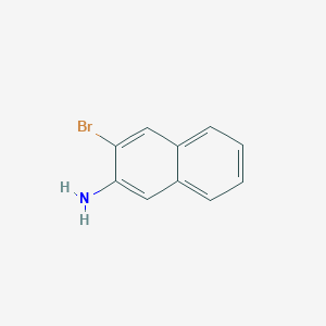 molecular formula C10H8BrN B189157 3-Bromonaphthalen-2-amine CAS No. 54245-33-9
