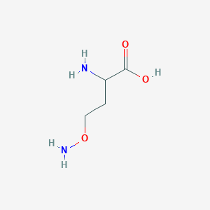 molecular formula C4H10N2O3 B190161 2-氨基-4-氨氧基丁酸 CAS No. 15985-61-2