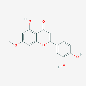 molecular formula C16H12O6 B191515 氢杨梅黄素 CAS No. 20243-59-8