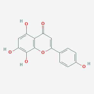 molecular formula C15H10O6 B191613 异黄芩素 CAS No. 41440-05-5
