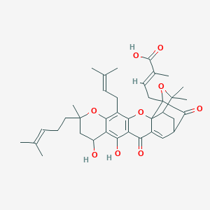 molecular formula C38H46O9 B191945 新藤黄酸 CAS No. 93772-31-7