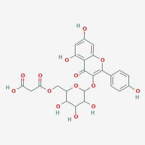 molecular formula C24H22O14 B194242 6''-Malonylastragalin CAS No. 81149-02-2