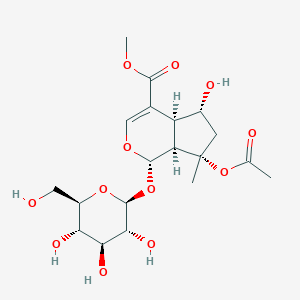 molecular formula C19H28O12 B207754 8-O-Acetyl shanzhiside methyl ester CAS No. 57420-46-9