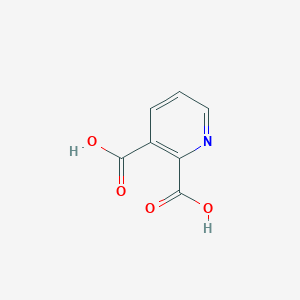 molecular formula C7H5NO4 B021070 Quinolinic acid CAS No. 89-00-9