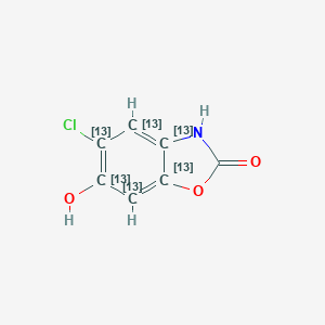 molecular formula C7H4ClNO3 B021243 6-羟基氯唑沙宗-13C6 CAS No. 475295-90-0