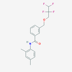 molecular formula C19H19F4NO2 B213573 N-(2,4-dimethylphenyl)-3-[(2,2,3,3-tetrafluoropropoxy)methyl]benzamide 