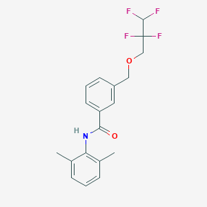 molecular formula C19H19F4NO2 B213709 N-(2,6-dimethylphenyl)-3-[(2,2,3,3-tetrafluoropropoxy)methyl]benzamide 
