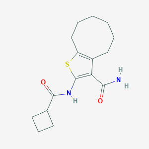 molecular formula C16H22N2O2S B213882 2-[(Cyclobutylcarbonyl)amino]-4,5,6,7,8,9-hexahydrocycloocta[b]thiophene-3-carboxamide 