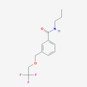 molecular formula C13H16F3NO2 B214055 N-propyl-3-[(2,2,2-trifluoroethoxy)methyl]benzamide 