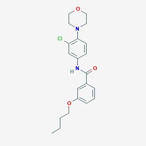 molecular formula C21H25ClN2O3 B214818 3-butoxy-N-(3-chloro-4-morpholin-4-ylphenyl)benzamide 
