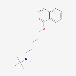 molecular formula C19H27NO B216141 N-(tert-butyl)-N-[5-(1-naphthyloxy)pentyl]amine 