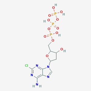 molecular formula C10H15ClN5O12P3 B216635 2-Chloro-2'-deoxyadenosine-5'-triphosphate CAS No. 106867-30-5