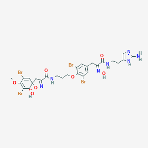 molecular formula C27H29Br4N7O7 B218068 (6S)-N-[3-[4-[(2Z)-3-[2-(2-Amino-1H-imidazol-5-yl)ethylamino]-2-hydroxyimino-3-oxopropyl]-2,6-dibromophenoxy]propyl]-7,9-dibromo-6-hydroxy-8-methoxy-1-oxa-2-azaspiro[4.5]deca-2,7,9-triene-3-carboxamide CAS No. 100101-28-8