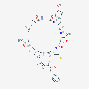 molecular formula C51H69N7O13S B218088 Microcystin YM CAS No. 101043-35-0