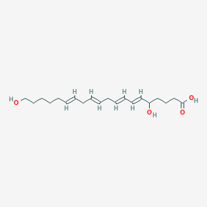 molecular formula C20H32O4 B218126 5,20-Dihydroxy-6,8,11,14-eicosatetraenoic acid CAS No. 107373-23-9