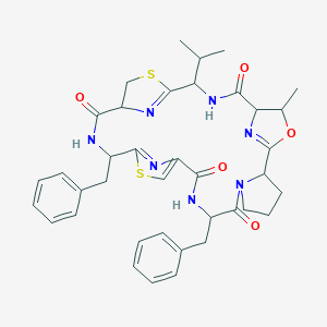molecular formula C38H43N7O5S2 B219308 Lissoclinamide 6 CAS No. 121209-53-8