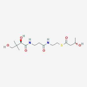 molecular formula C15H28N2O6S B219533 3-Hydroxybutyrylpantetheine CAS No. 120497-19-0
