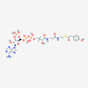 molecular formula C29H42N7O18P3S B219694 S-[2-[3-[[4-[[[(2R,3S,4R,5R)-5-(6-aminopurin-9-yl)-4-hydroxy-3-phosphonooxyoxolan-2-yl]methoxy-hydroxyphosphoryl]oxy-hydroxyphosphoryl]oxy-2-hydroxy-3,3-dimethylbutanoyl]amino]propanoylamino]ethyl] 2-(4-hydroxyphenyl)ethanethioate CAS No. 117411-05-9