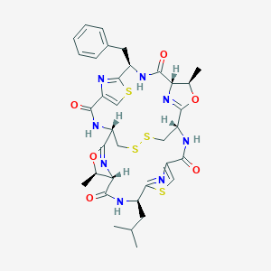 molecular formula C35H40N8O6S4 B219903 Ulithiacyclamide B CAS No. 122759-67-5
