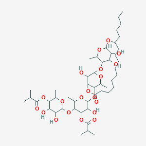 molecular formula C48H82O20 B220177 Merremoside D CAS No. 115655-78-2