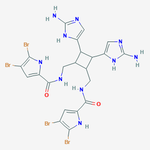 molecular formula C22H22Br4N10O2 B220819 二溴海绵素 CAS No. 117417-71-7