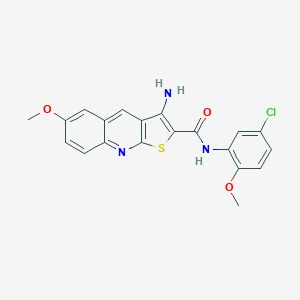 molecular formula C20H16ClN3O3S B221075 3-amino-N-(5-chloro-2-methoxyphenyl)-6-methoxythieno[2,3-b]quinoline-2-carboxamide 