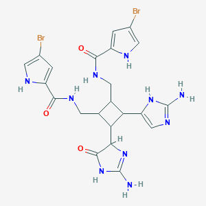 molecular formula C22H24Br2N10O3 B221146 Oxysceptrin CAS No. 117417-62-6