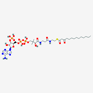 molecular formula C35H60N7O18P3S B221184 3-氧代十四碳酰辅酶A CAS No. 122364-86-7