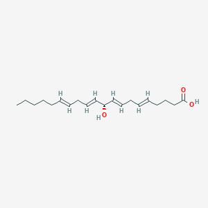 molecular formula C5H5N3O4 B221596 10-Hydroxyeicosatetraenoic acid CAS No. 167697-52-1