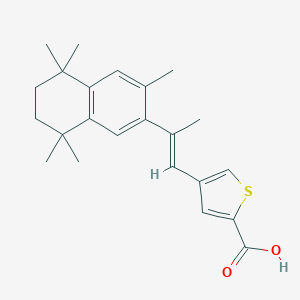 molecular formula C14H9BrN4O2 B222270 4-[(E)-2-(3,5,5,8,8-pentamethyl-6,7-dihydronaphthalen-2-yl)prop-1-enyl]thiophene-2-carboxylic acid CAS No. 167413-66-3