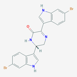 molecular formula C20H14Br2N4O B223257 海刺参碱 A CAS No. 160098-92-0