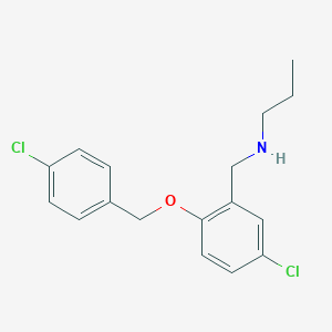 molecular formula C17H19Cl2NO B223922 N-{5-chloro-2-[(4-chlorobenzyl)oxy]benzyl}-N-propylamine 